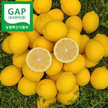 레몬3kg 판매 TOP20 가격 비교 및 구매평