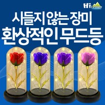 [하이레저] 장미꽃 LED 수면 무드등 유리돔 감성조명 여자친구 커플 생일 기념일선물, 레드