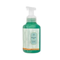 배스앤바디웍스 포밍핸드솝 Beautiful Day S/S, 259ml, 259ml
