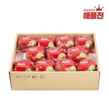 신선식품(브랜드없음) 애플진 저탄소 세척사과 3kg 11과 x 2박스, 단품없음
