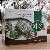 elco 와송즙 1box (100ml x 60p) pro, 엘코_ 1