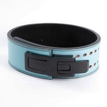 중량벨트 딥벨트 풀업 턱걸이 딥스 피트니스 강한 벨트 스쿼트 훈련 하드 풀 소 가죽 허리 스포츠 보호 장, 04 Blue_04 L