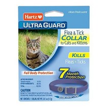 Hartz Ultra Guard - Cats and Kittens, 보라색