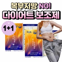 중년 다이어트 가르시니아 똥배 복부 지방 뱃살 허벅지 살 빼는 법 가르니시아 가르시아나 레몬밤 녹차 추출물 차전자피 분말 효소 다이어트 HCA 비타민 B 히비스커스 옆구리