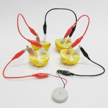 과일전지(멜로디버저)