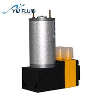 가정용 대용량 업소용 온수기 YWfluid 12v/24v 실험실 살균제 스프레이에 사용되는 고품질 전력 dc 모터 미니 워터 다이어프램 펌프, [02] 24V, [01] Gas