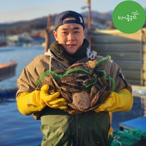 최고다농수산 싱싱한 동해안 참가리비 수입산 가리비 산지직송, 동해안 참가리비 (중~대) 1kg
