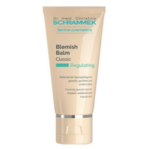 슈라멕 블레미쉬밤 비비크림 40ml, 허니, 7개