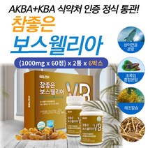 보스웰리아 정 AKBA KBA 추천 함량 푸른 그린 홍합 상어 연골 함유 할머니 할아버지 50대 60대 부모님 관절 건강 보조제 선물 우슬 홈쇼핑 BOSWELLIA 먹는법 식약처 통관 식품 아연 비타민 C, 60정, 6박스