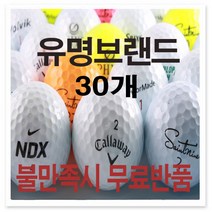 [스카이골프] 브랜드 혼합 골프공 로스트볼, 01.토탈유명브랜드 30개
