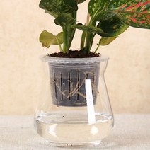 수경재배 포트 10개 아쿠아 인삼 모종재배 모종판, 3-수경포트-40호