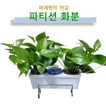 리빙팜 파티션화분 식물포함, 2호(파티션 화분 거치대 규격 65mm)