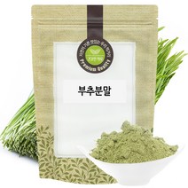 부추 분말 가루 500g 국산 국내산, 단품, 단품