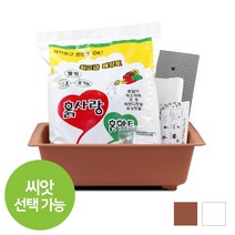 화분월드 가드닝 베란다 텃밭 채소키우기 행복화분 + 흙 7종세트, 채소밭15호 받침 텃밭세트(토기색)