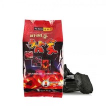 참숯 1kg 숯효능 불멍 978 등산 낚시 캠핑용품