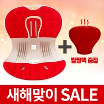 트러블체어 + 냉온찜질팩 자세교정 좌식의자 허리건강 등받이 의자 행사, 레드