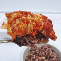 대전 실비 김치 맛있게 매운 수제 배추김치, 땡초 매운 김치 500g