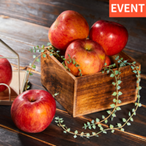 (event) 껍질채먹는 당도높은 아리수 빨간과일 보조개 명품 부사 5kg 10kg, 거의정품(가정용), 5kg 중 (14-19과내외)