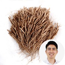 인삼수삼 실삼계삼 300뿌리내외 750g 대명이네인삼, 1개