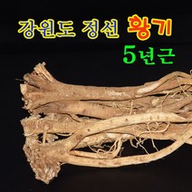 5년근 황기/300g/정선황기/강원도 황기/강원도 정선