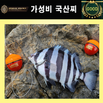 비앤케이 가성비 구멍찌 전호수, 가성비 1.5호