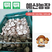 무농약인증 GAP인증 예산 표고버섯 (파지) 착한가게 드림 무료배송! 식당용 국물용 육수용 김장용 다시용 대량용 추천 농장직송, 15kg, 1개