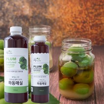 순수발효 임산부매실액 하동 매실청 매실차, 쏘울메이드 하동 매실원액 500ml 2병