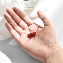 인테로 대두 레시틴 NONGMO 포스파티딜콜린 인지질 60% 3개월분