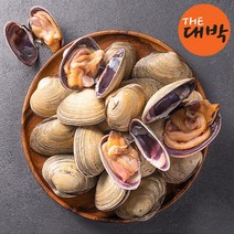 다이버채취 자연산 활 대합 개조개, 1box, 대합(대) 1kg