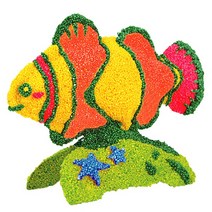 컬러룬 볼클레이 물고기 크라운피쉬, 2개