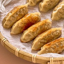 [플래노프] 고퀄리티 담두만두 담두 온 갈비만두 420g