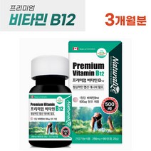 캐나다 프리미엄 비타민 B12 90정 식약처 인증 고함량 시아노코발라민 비12 엽산대사에 필요 부모님 노년 기 비타민 영양제, 1병