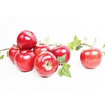제철 사과 새콤달콤 빨간 홍옥 2kg/정품, *I813_빨간 홍옥사과 2kg내외(14과내외)/정품, 1개