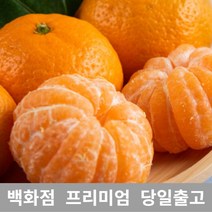 [특등급선별] 감귤 3.5kg 타이벡감귤 타이백감귤 제주귤 효돈감귤 불로초감귤 노지귤 제주도귤 금귤 노지감귤 조생귤 서귀포감귤 무농약귤 유기농귤 고당도귤 제주노지감귤 금귤정과