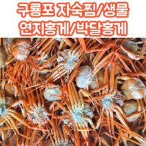 산지직송 당일조업 구룡포 연지홍게 박달홍게 자숙 생물 2kg 3kg 5kg, 고급형_연지홍게_자숙_3kg