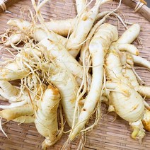 후금이네 싱싱한 인삼 수삼 세척 파삼 막삼 못난이삼 (300g), 1개