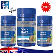 호주 프리미엄 Wagner 셀러리 통 요산 풍 배출 영양제 16000mg 50캡슐 3병특가 로켓직송, 3병
