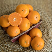 천하일품 명품 한라봉 천혜향 청견 카라향, 1박스, 15.천혜향 3kg 중대과(10-14과)