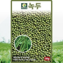 다농 녹두 씨앗 녹두 콩 씨 종자 30g, 1개