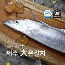 제주SF 대사이즈 제주 은갈치 220g*10미(총 40토막/총 2.2kg), 1