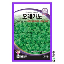 오레가노 1000립/허브 오레가노 텃밭 키우기 종자 씨앗