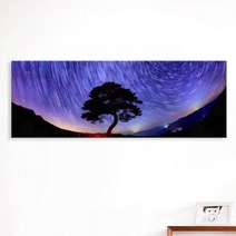 [천삼백케이] [꾸밈] ct393-별쏟아지는밤하늘아래소나무대형노프레임