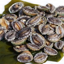 완도 꼬마전복 1kg(40~50미내외), 단품