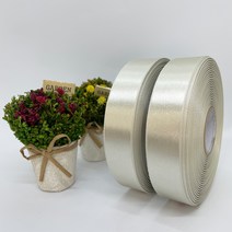 포장 리본 끈 제이제이리본 고밀도주자 45M 2롤 76칼라 (3mm 5mm), 3mm, C65