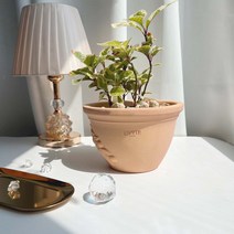 베트남토분 올리브 실내화분 홈가드닝 인테리어 앙비까사 ENVIE CASA, 19 cm, 1개
