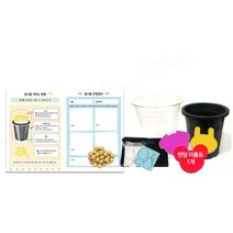 초등 식물 화분 관찰 학습 콩나물키우기 키트 +관찰일지 5인 복지관 유치원 마음치료
