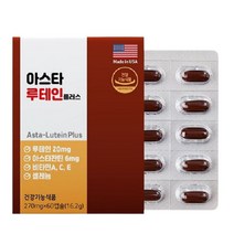 미국 직수입 식물성 아스타 루테인 플러스 빌베리 60캡슐