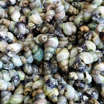 자연나라 국내산 깐다슬기 400g x 1팩 자연산 다슬기 올갱이, 깐다슬기400g x 1팩