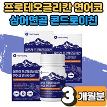 글루코사민 프로테오글리칸 프리테오글리칸 프로테오클리칸 식 약 처 해썹인증 연어코 연골 상어연골 콘드로이친 말엘라스틴 피쉬콜라겐 주부 시니어 선물 3박스