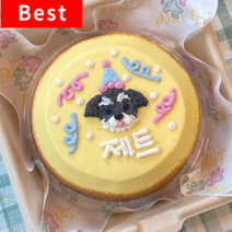 [알로하스낵] 강아지케이크 (고구마 저알러지), 3번(팔레트), C 세트(문장추가X)